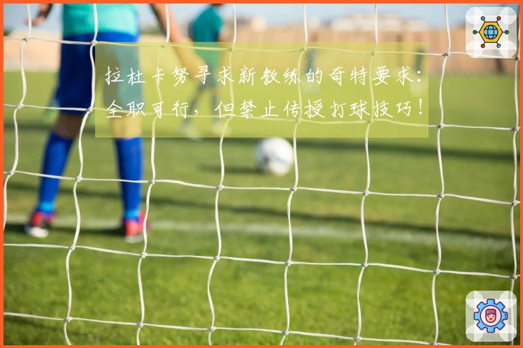 拉杜卡努寻求新教练的奇特要求：全职可行，但禁止传授打球技巧！